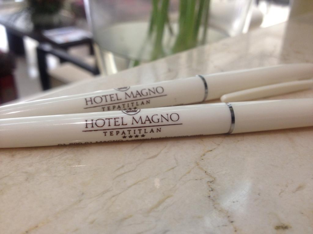 Hotel Magno Tepatitlan 외부 사진